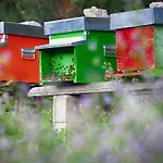 Fattoria La Cona Фермерский дом