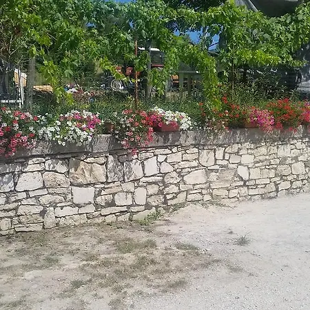 Feriegård Fattoria La Cona