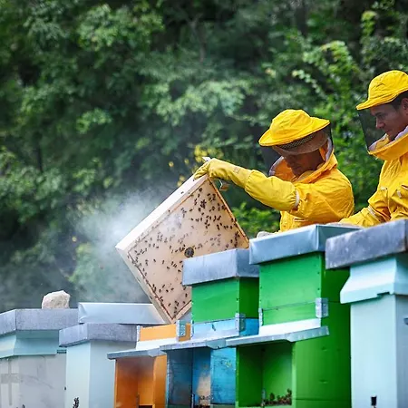 Feriegård Fattoria La Cona *