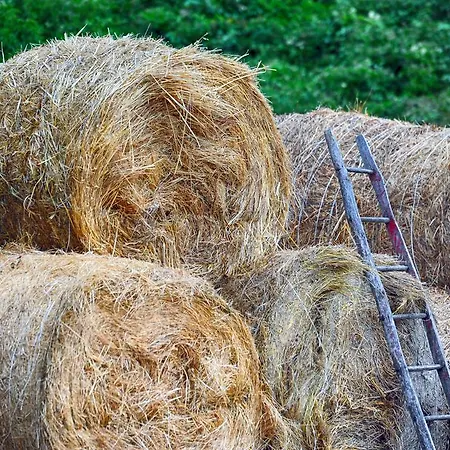 Fattoria La Cona Feriegård Ascoli Piceno