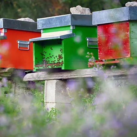 Fattoria La Cona Agroturismo
