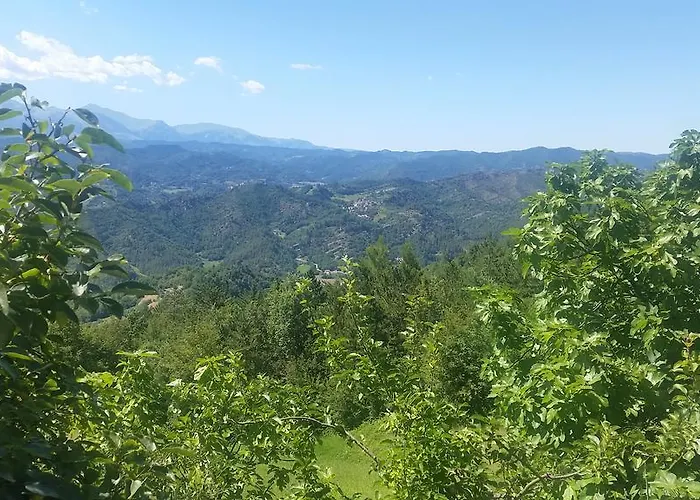 Fattoria La Cona مزرعة للإقامة *