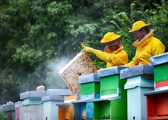 مزرعة للإقامة Fattoria La Cona *