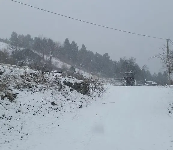 Fattoria La Cona مزرعة للإقامة *