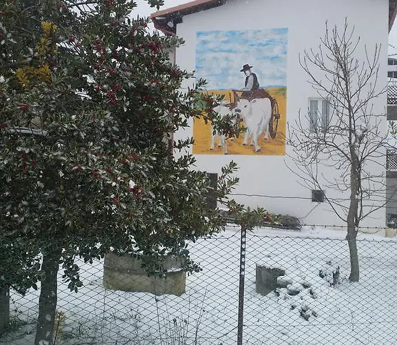 Fattoria La Cona مزرعة للإقامة